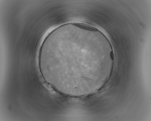 X0000113301104200910051037