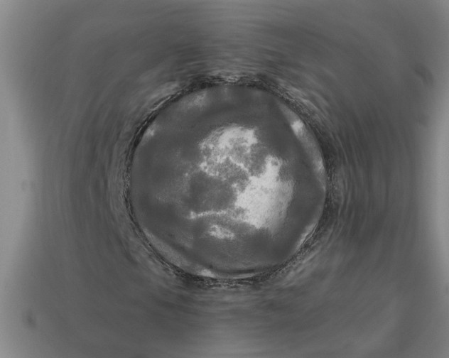 X0000113301105200910051036