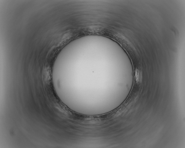 X0000113301107200910051036