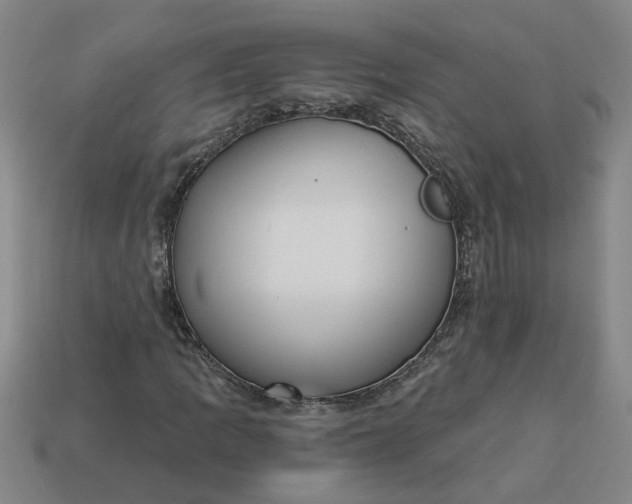 X0000113301109200910051036