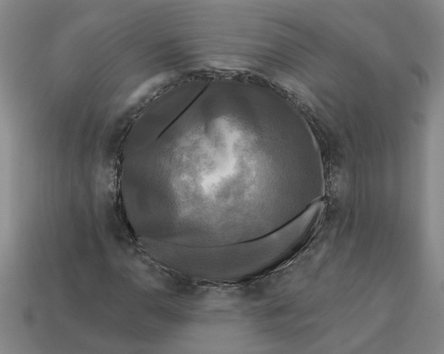 X0000113301110200910051036