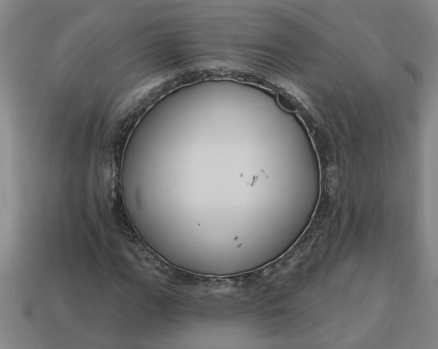 X0000113301111200910051036