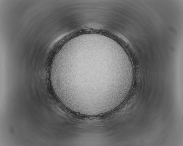 X0000113301112200910051036