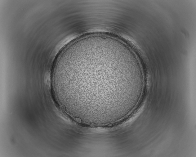 X0000113301113200910051036