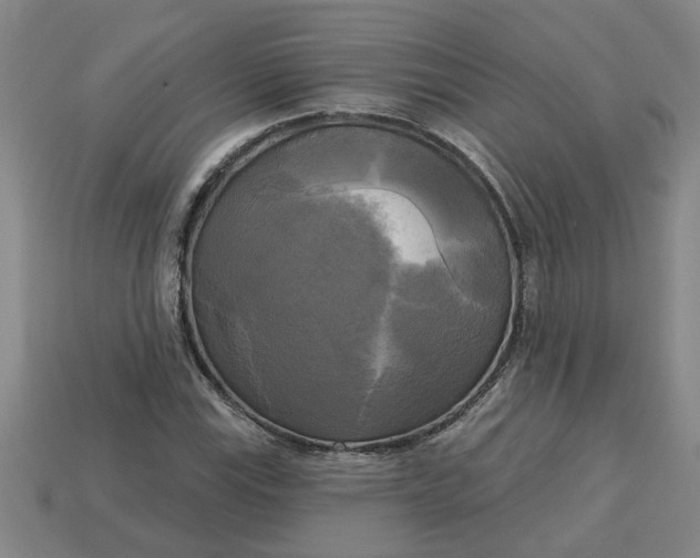 X0000113301115200910051036