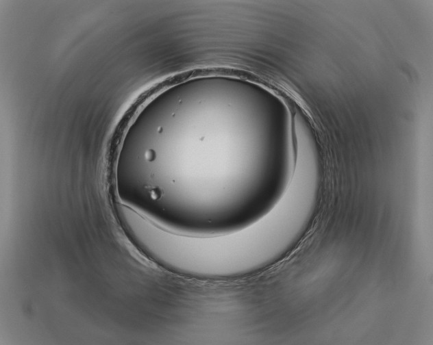 X0000113301116200910051036