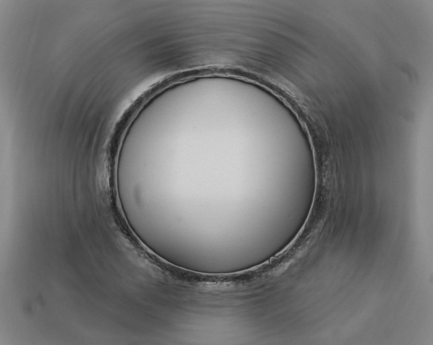 X0000113301118200910051036