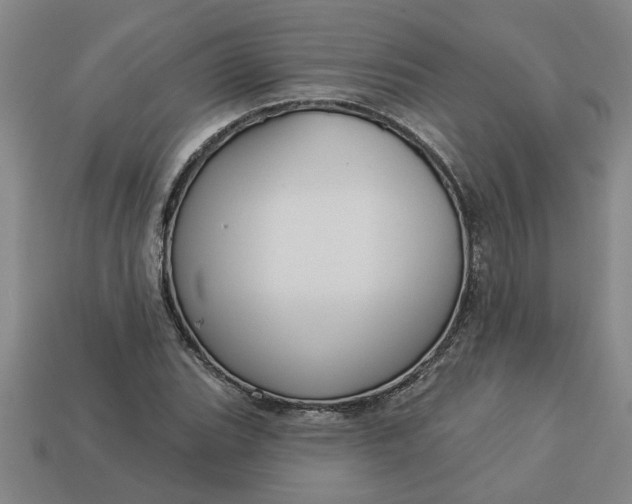 X0000113301119200910051036