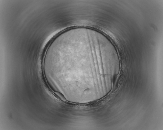 X0000113301120200910051036