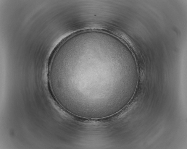 X0000113301124200910051036