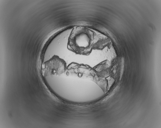 X0000113301125200910051036