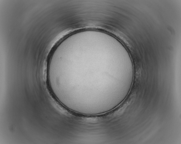 X0000113301126200910051036