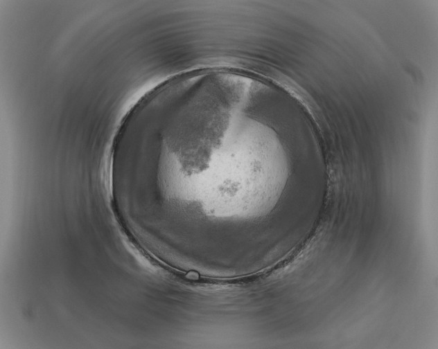 X0000113301127200910051036