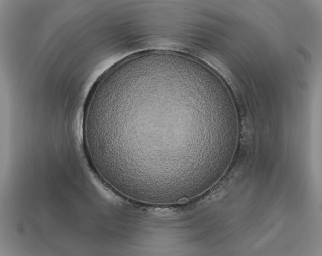 X0000113301128200910051036