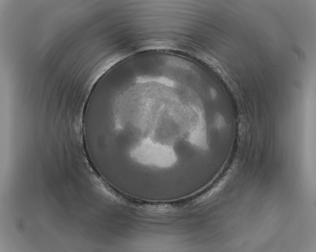 X0000113301129200910051037