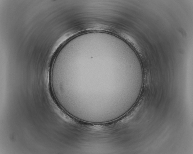 X0000113301130200910051037