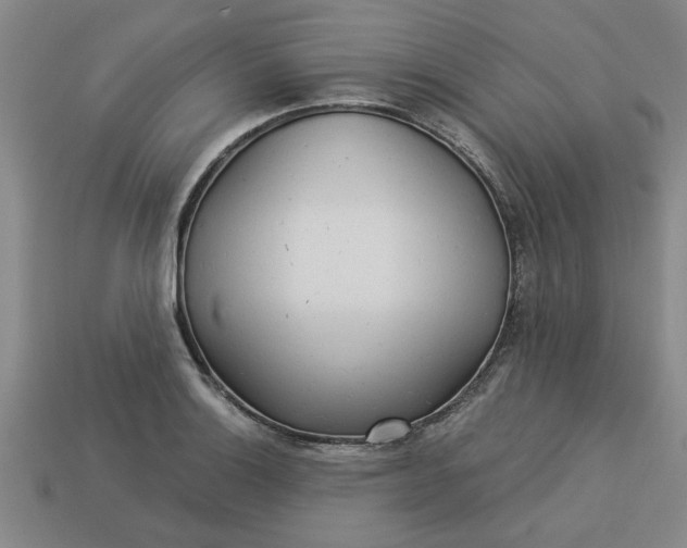 X0000113301132200910051037