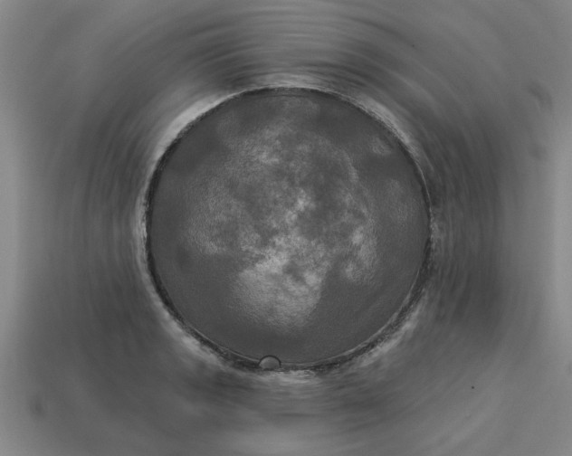 X0000113301133200910051037