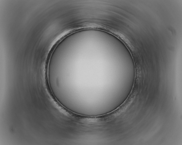 X0000113301134200910051037