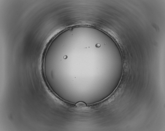 X0000113301135200910051037