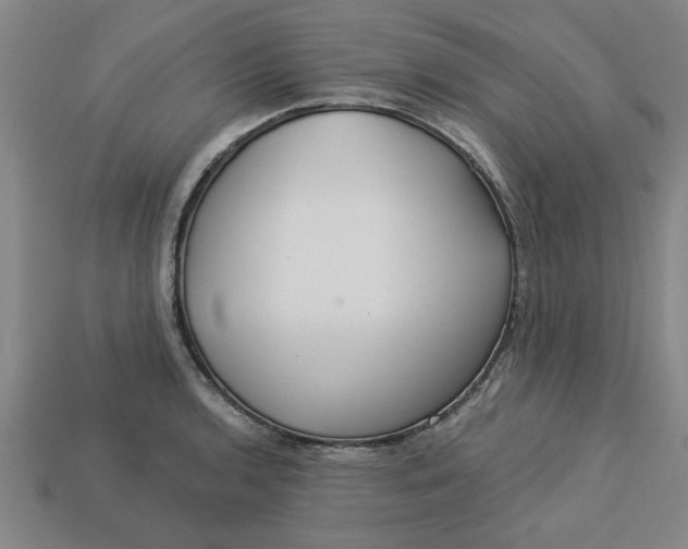 X0000113301136200910051037