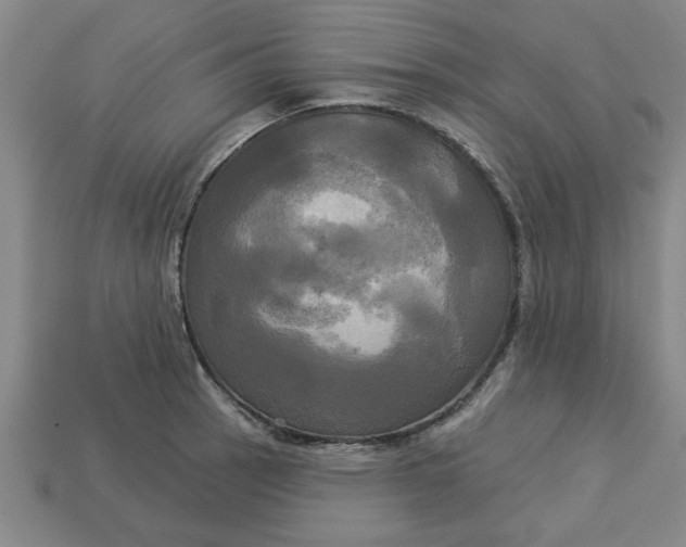 X0000113301137200910051037