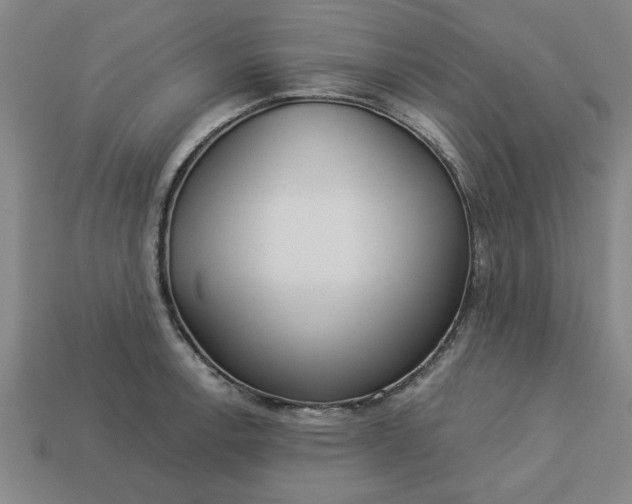 X0000113301138200910051037