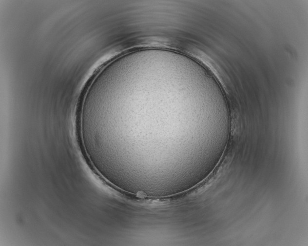 X0000113301139200910051037