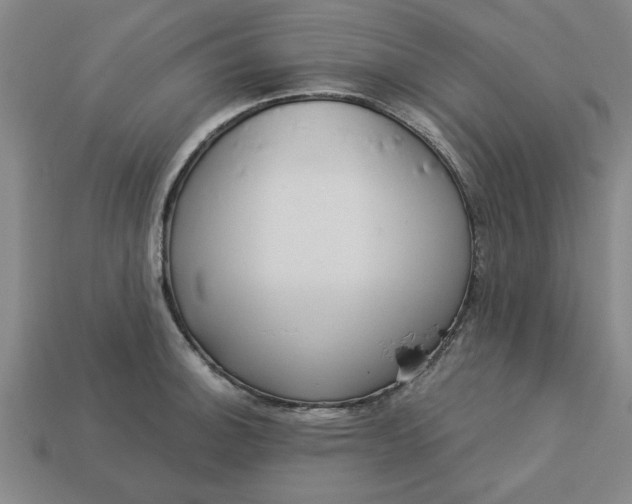 X0000113301140200910051037