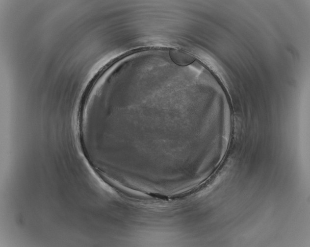 X0000113301141200910051037