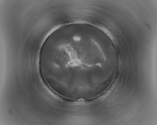 X0000113301142200910051037