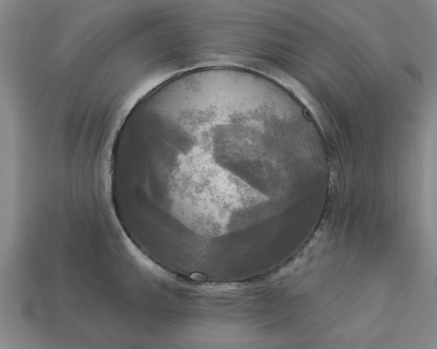 X0000113301143200910051037