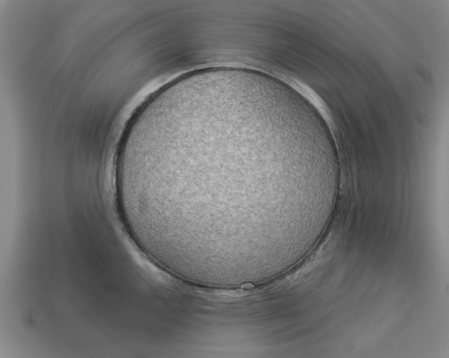 X0000113301144200910051037