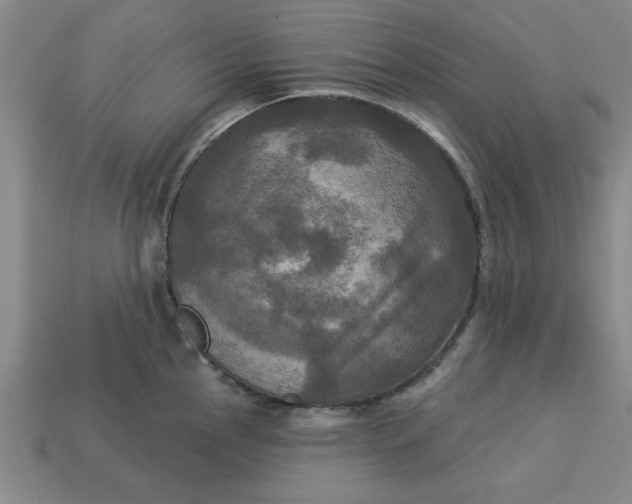 X0000113301145200910051037