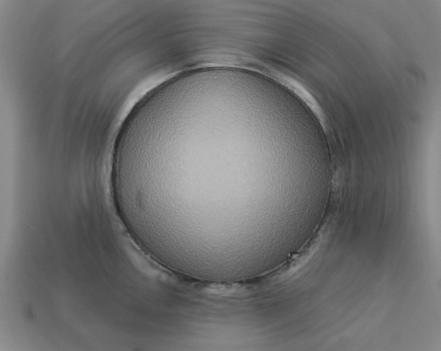 X0000113301146200910051037