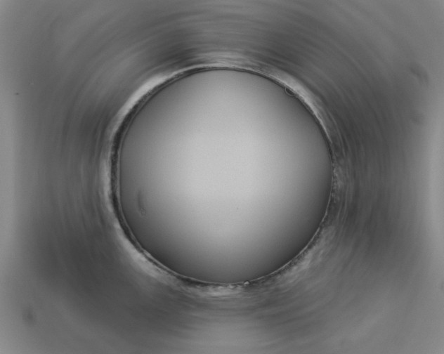 X0000113301147200910051037