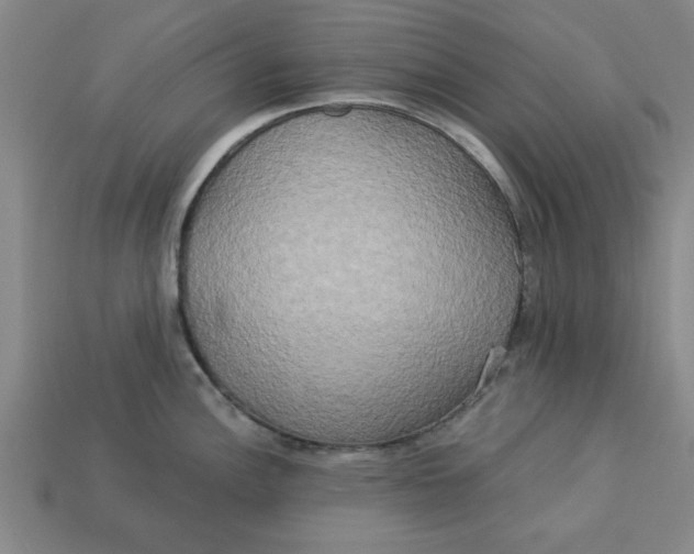 X0000113301148200910051037