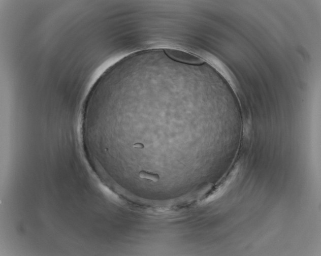 X0000113301149200910051037