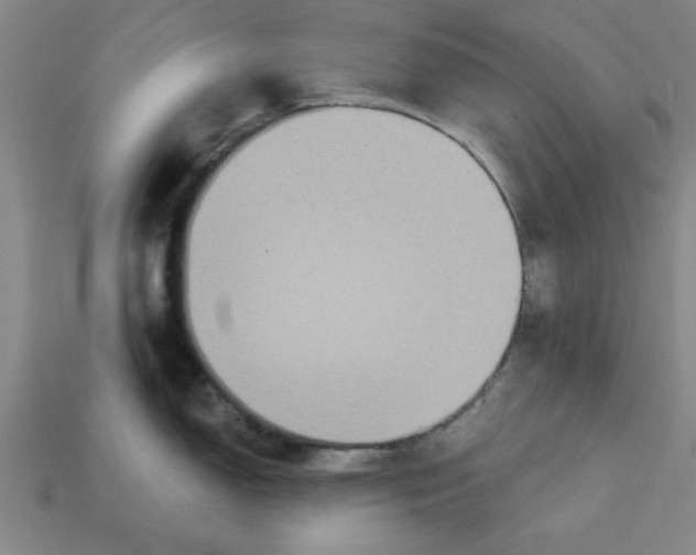 X0000113301150200910051037