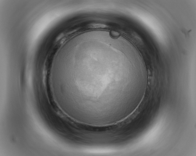 X0000113301151200910051037