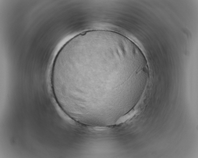 X0000113301152200910051037