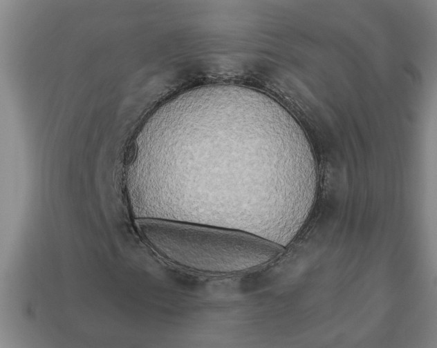 X0000113301153200910051036