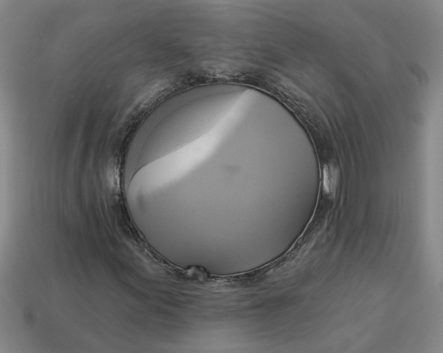 X0000113301155200910051036