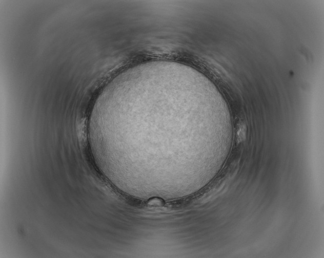 X0000113301156200910051036