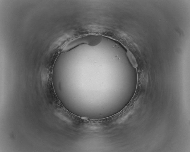 X0000113301157200910051036