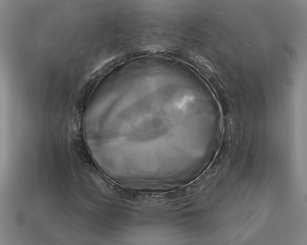 X0000113301158200910051036