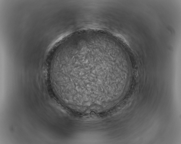 X0000113301159200910051036