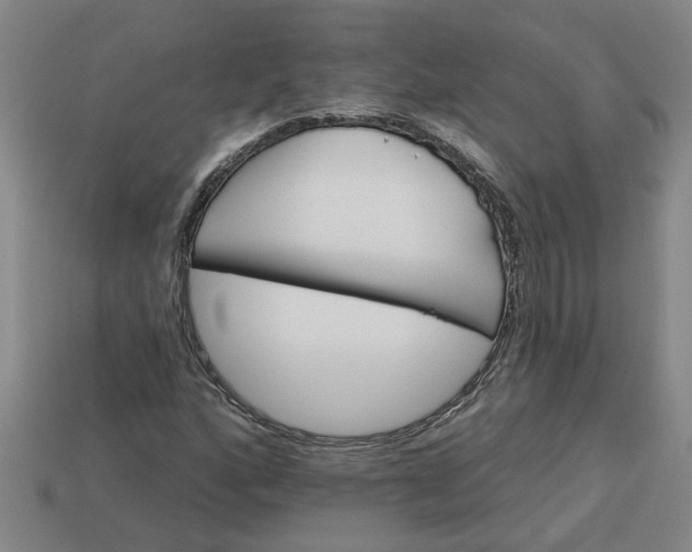 X0000113301160200910051036