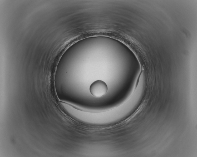 X0000113301161200910051036