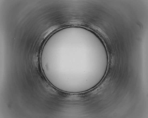 X0000113301162200910051036